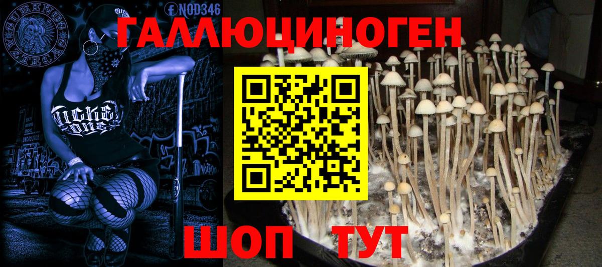 Псилоцибиновые грибы MAGIC MUSHROOMS Бахчисарай