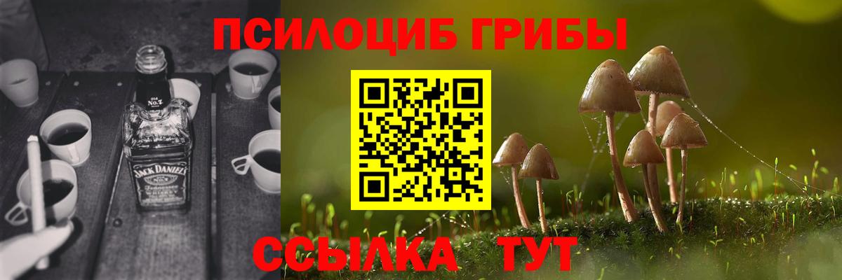 Псилоцибиновые грибы Psilocybine cubensis  Вход с VPN  наркота  Бахчисарай 